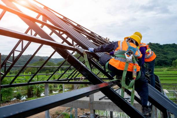 Best Roof Gutter Cleaning  in Sunbury, OH